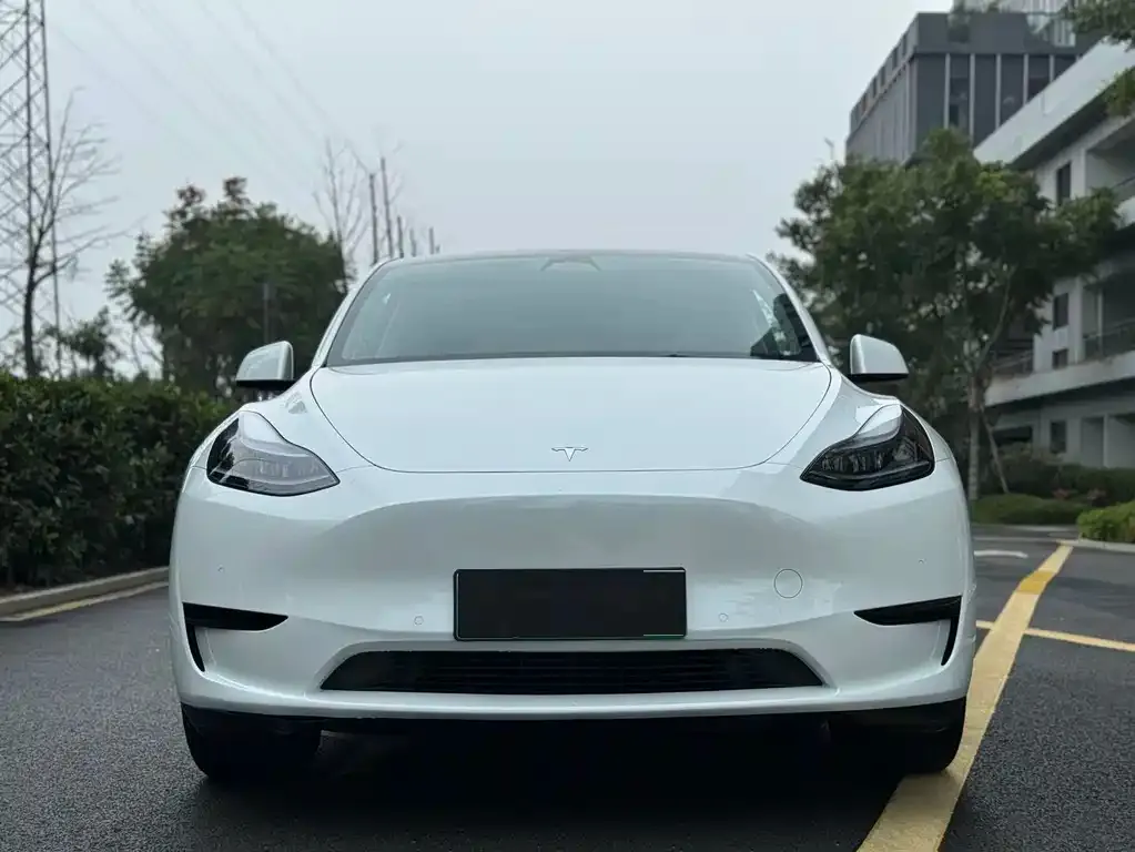 Tesla Model Y — фото 2