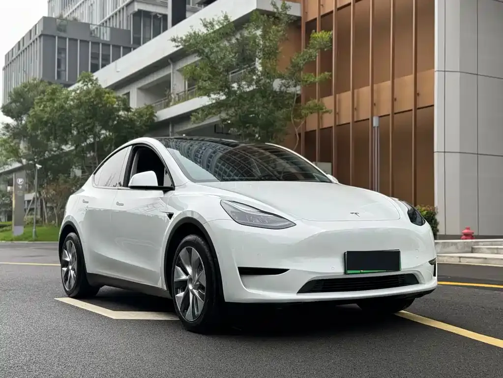 Tesla Model Y — фото 3