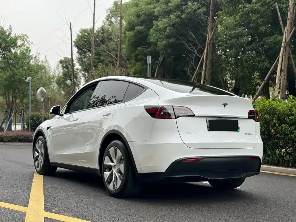 Tesla Model Y — фото 8
