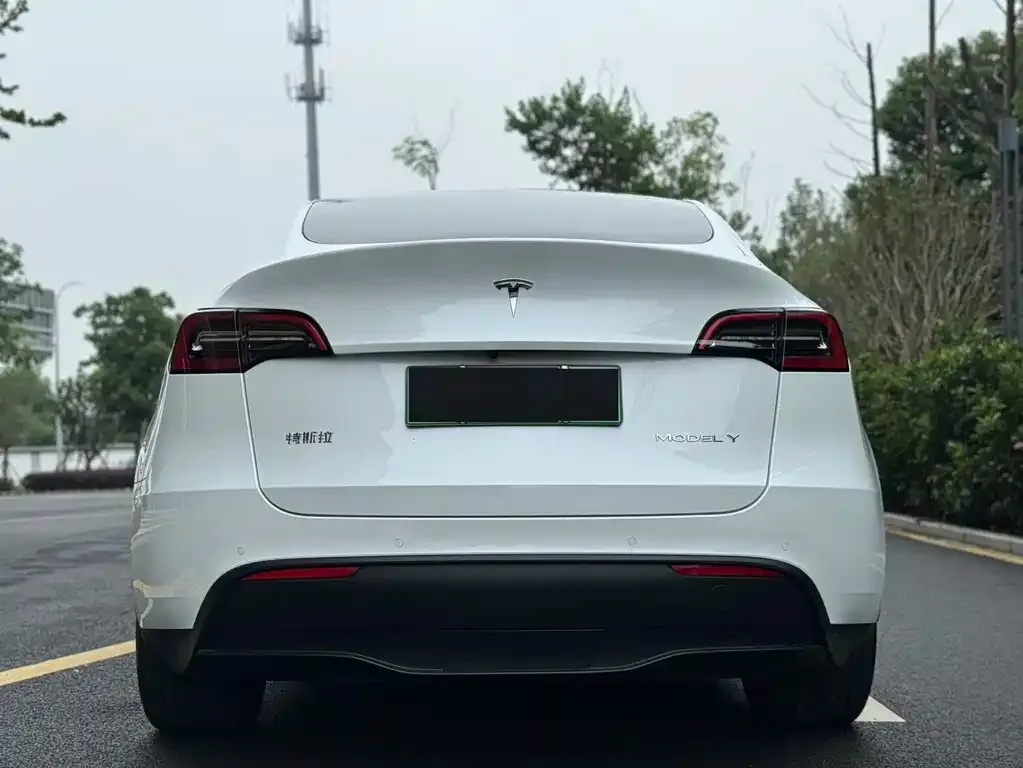 Tesla Model Y — фото 9