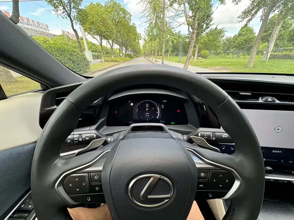 Lexus RZ — фото 10
