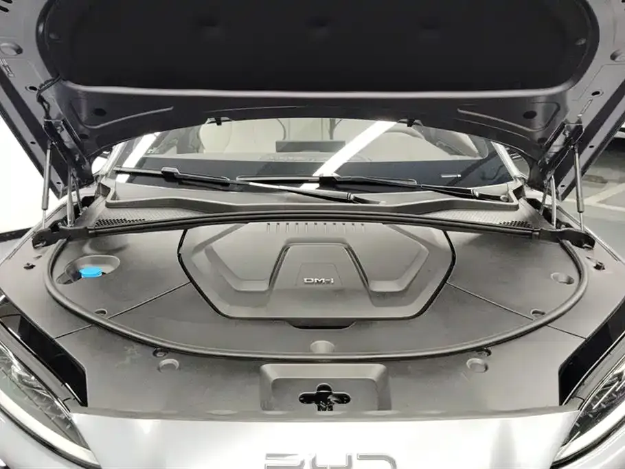 BYD PLUS New Energy — фото 10