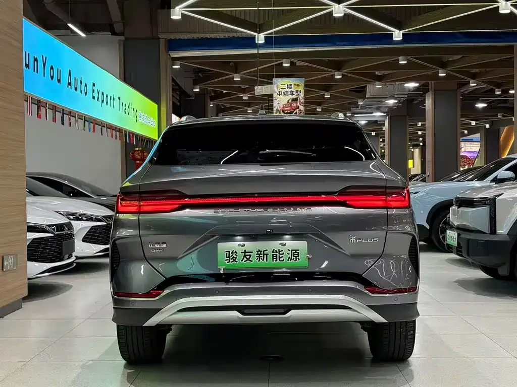 BYD PLUS New Energy — фото 7