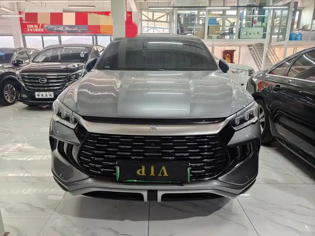 BYD Pro New Energy — фото 2