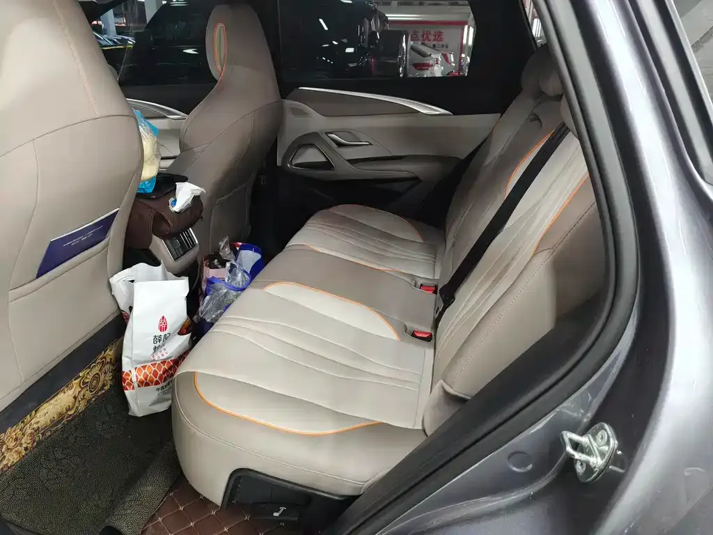 BYD Pro New Energy — фото 6