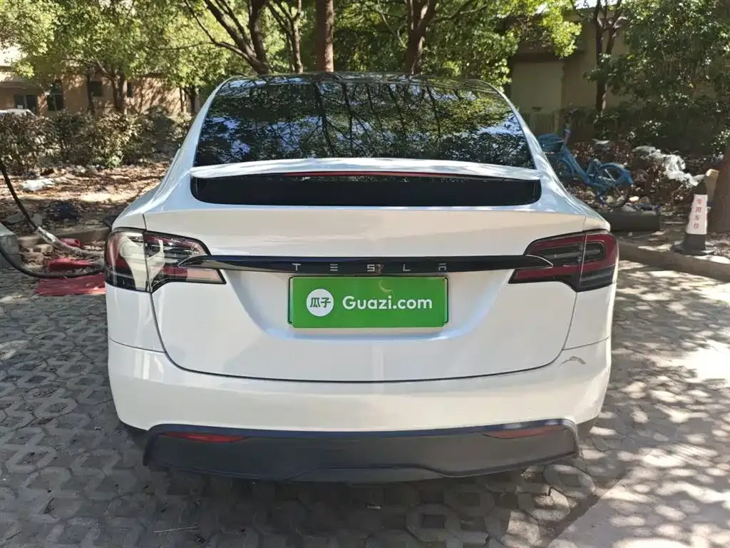 Tesla Model X — фото 6