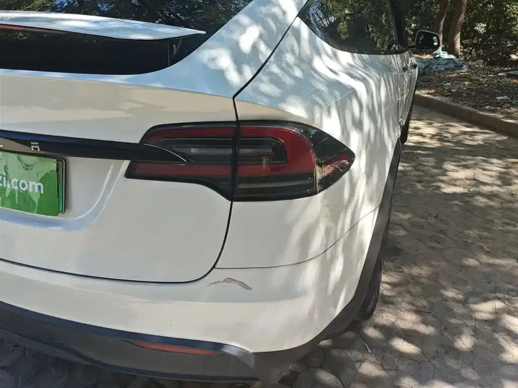 Tesla Model X — фото 8