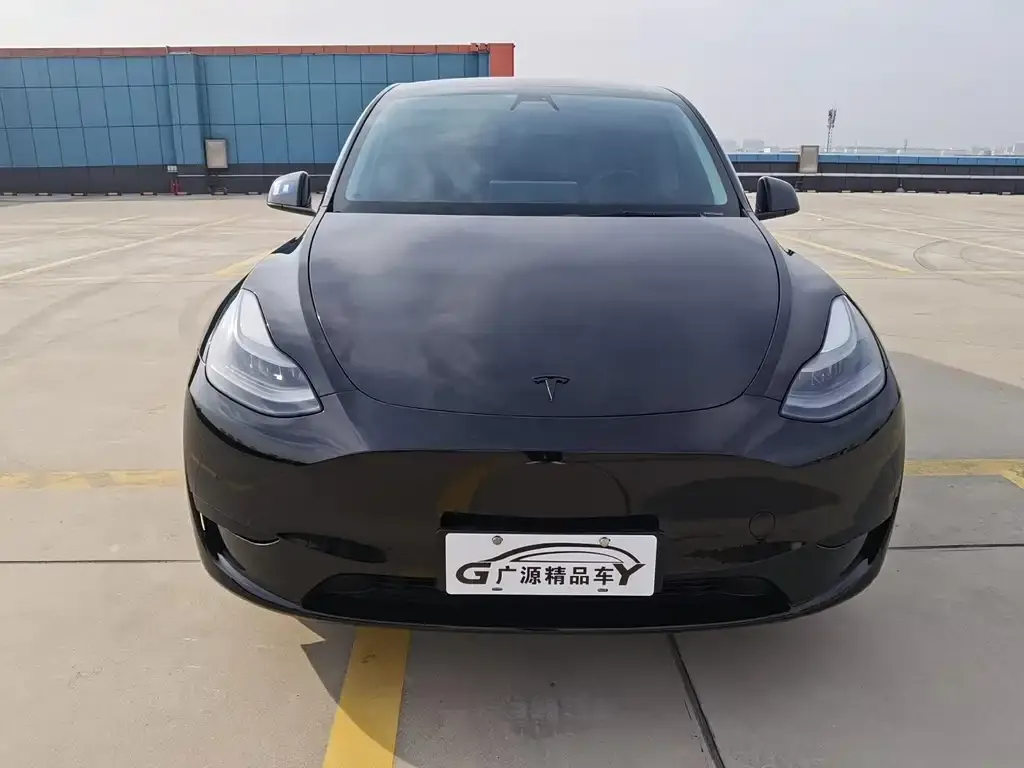Tesla Model Y — фото 2