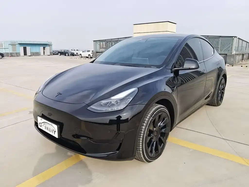 Tesla Model Y — фото 3