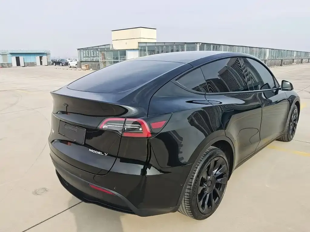 Tesla Model Y — фото 4