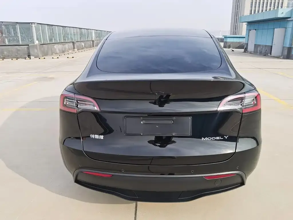 Tesla Model Y — фото 5