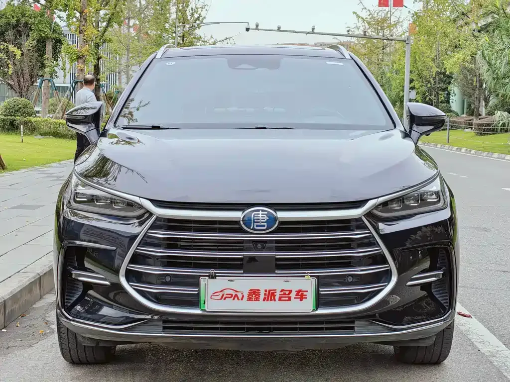 BYD Tang New Energy — фото 2