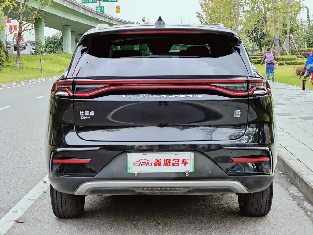 BYD Tang New Energy — фото 5