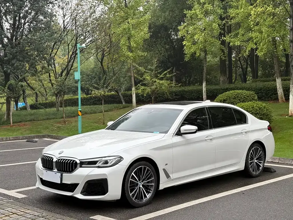 BMW 5 Series — фото 1
