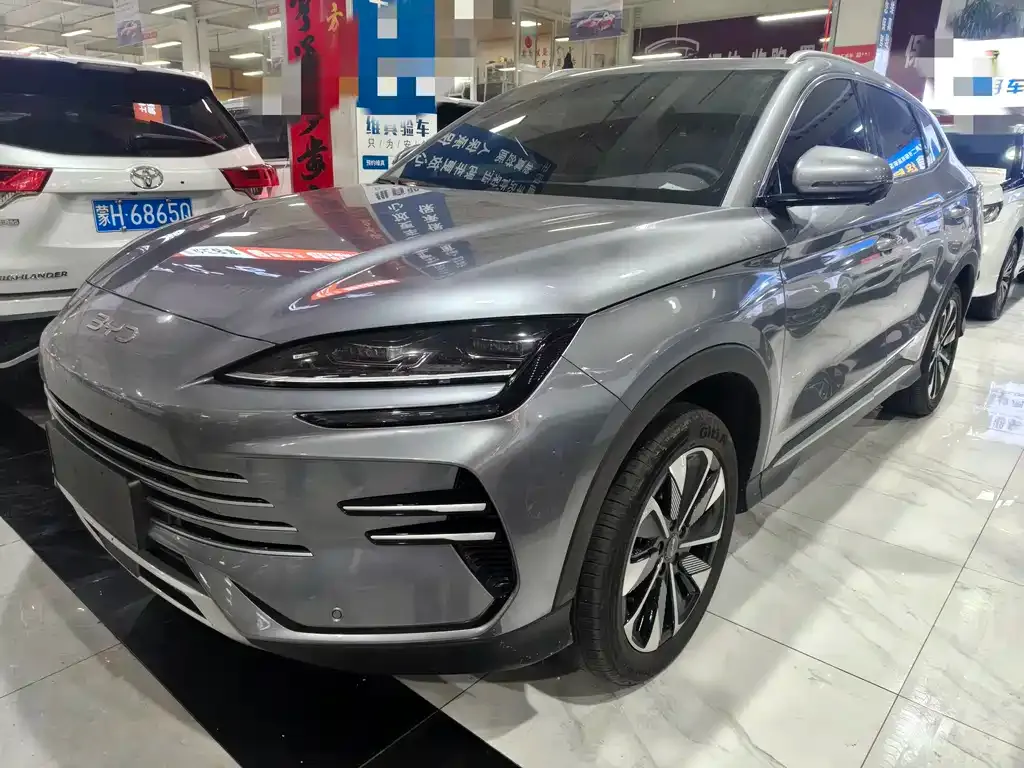 BYD PLUS New Energy — фото 1