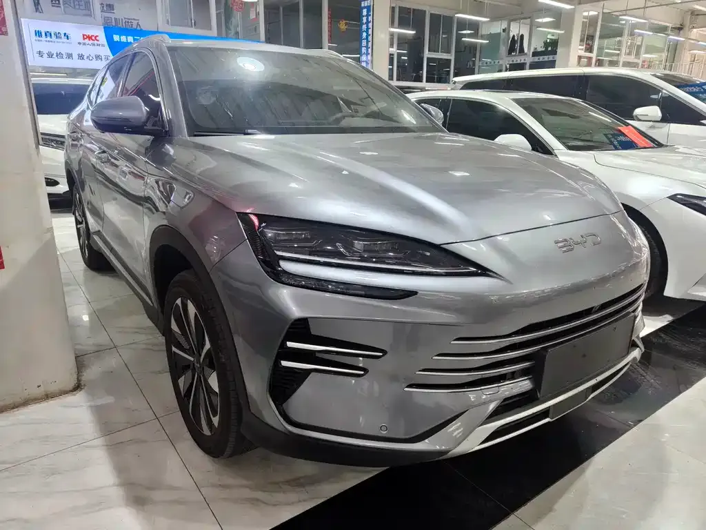 BYD PLUS New Energy — фото 3