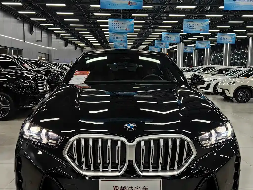 BMW X6 — фото 2