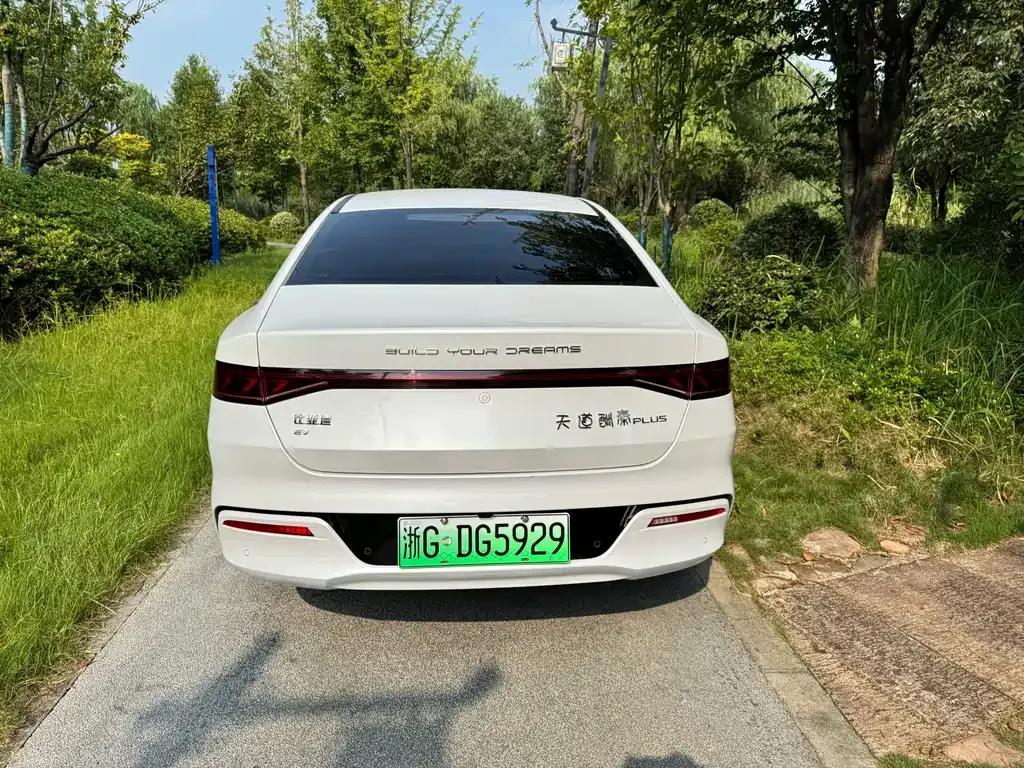 BYD Qin PLUS — фото 4