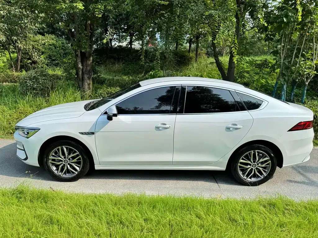 BYD Qin PLUS — фото 8