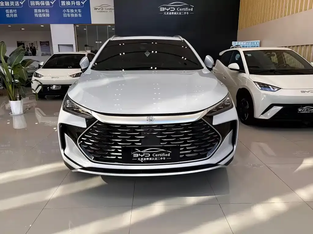 BYD Tang New Energy — фото 2