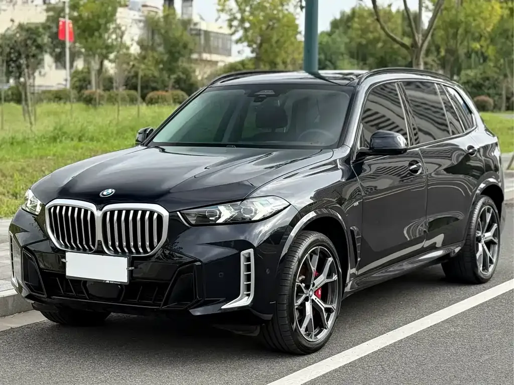 BMW X5 — фото 2