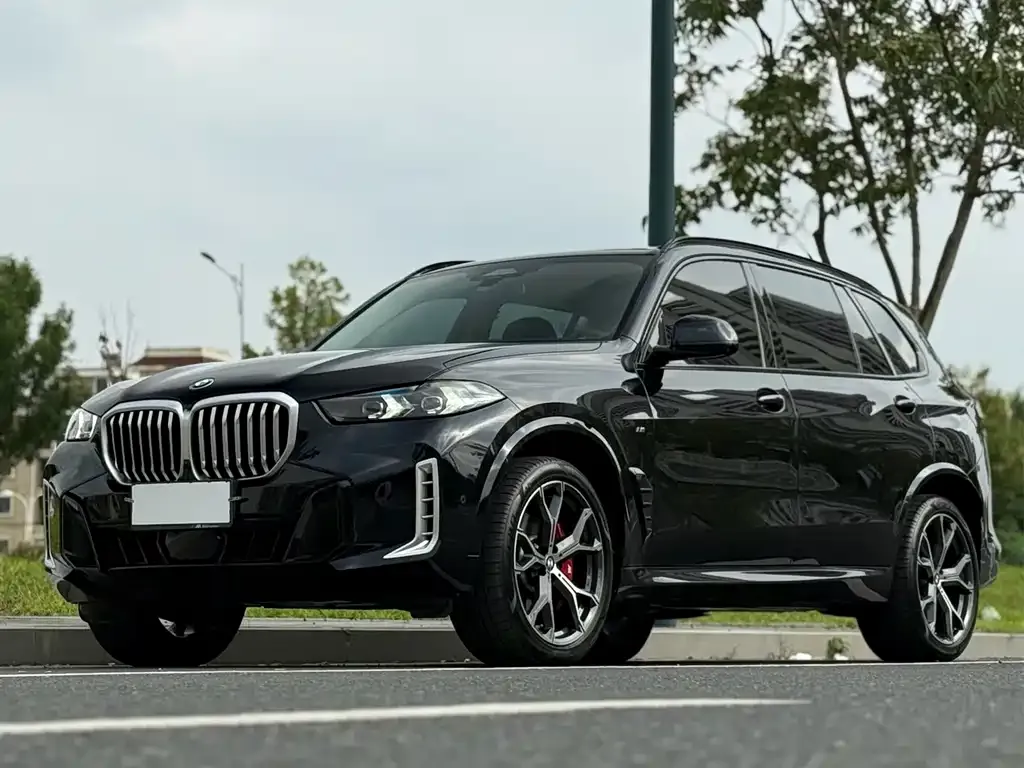 BMW X5 — фото 3