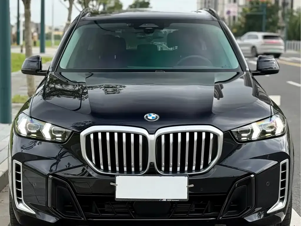 BMW X5 — фото 4