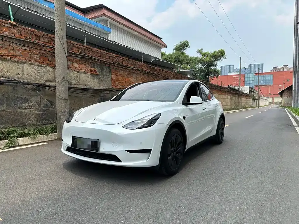 Tesla Model Y — фото 1