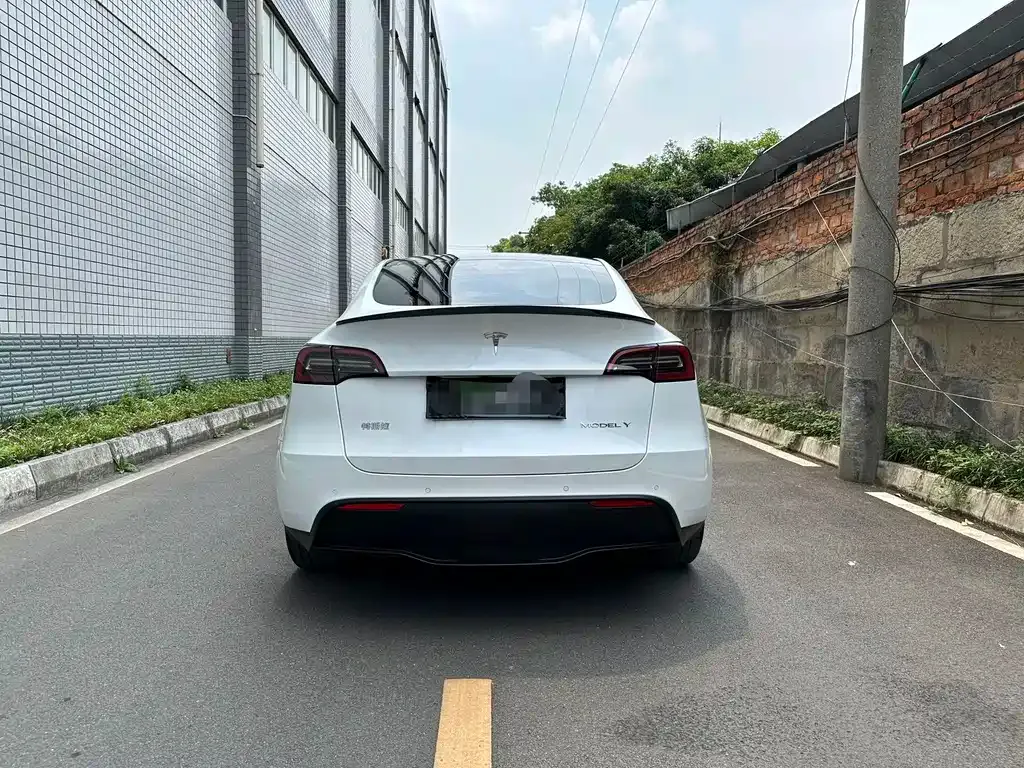 Tesla Model Y — фото 10