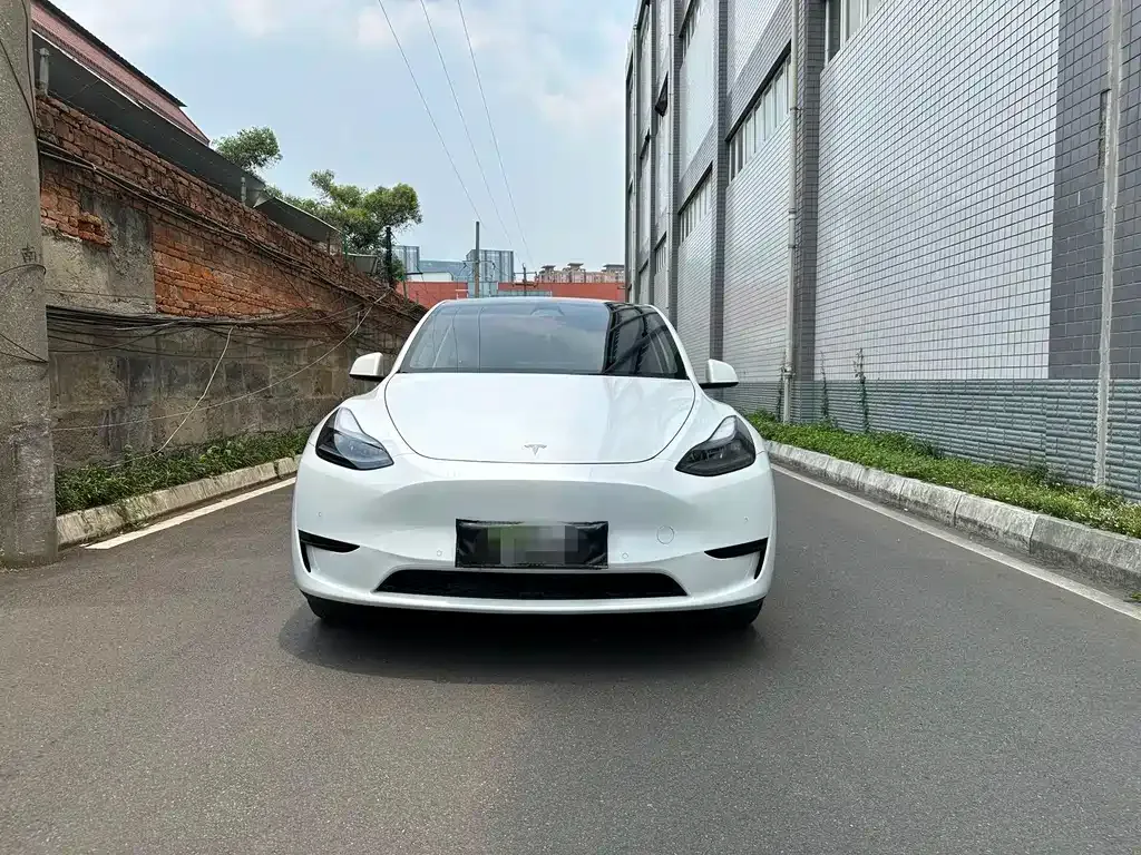 Tesla Model Y — фото 2