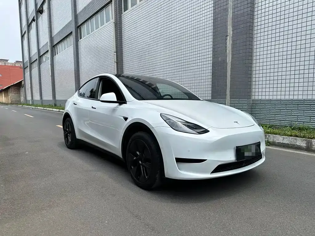 Tesla Model Y — фото 3