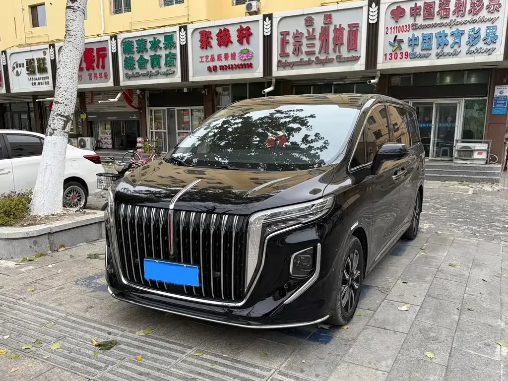Hongqi HQ9 — фото 1