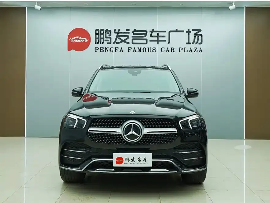 Mercedes-Benz 奔驰GLE(进口) — фото 2