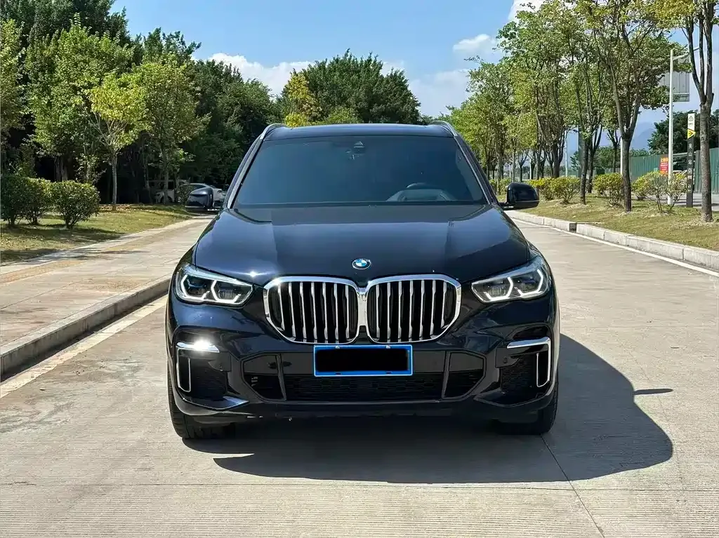 BMW X5 — фото 3
