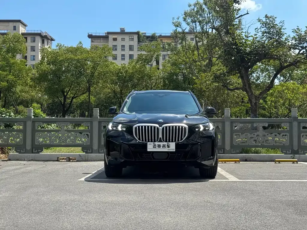 BMW X5 — фото 2