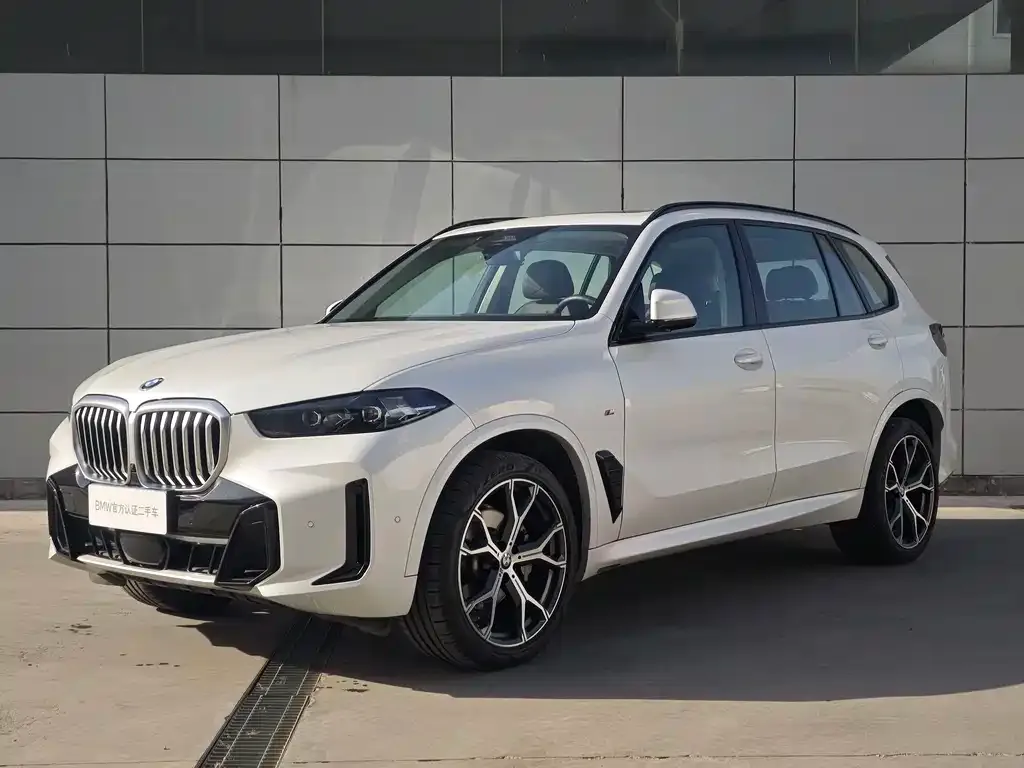 BMW X5 — фото 1