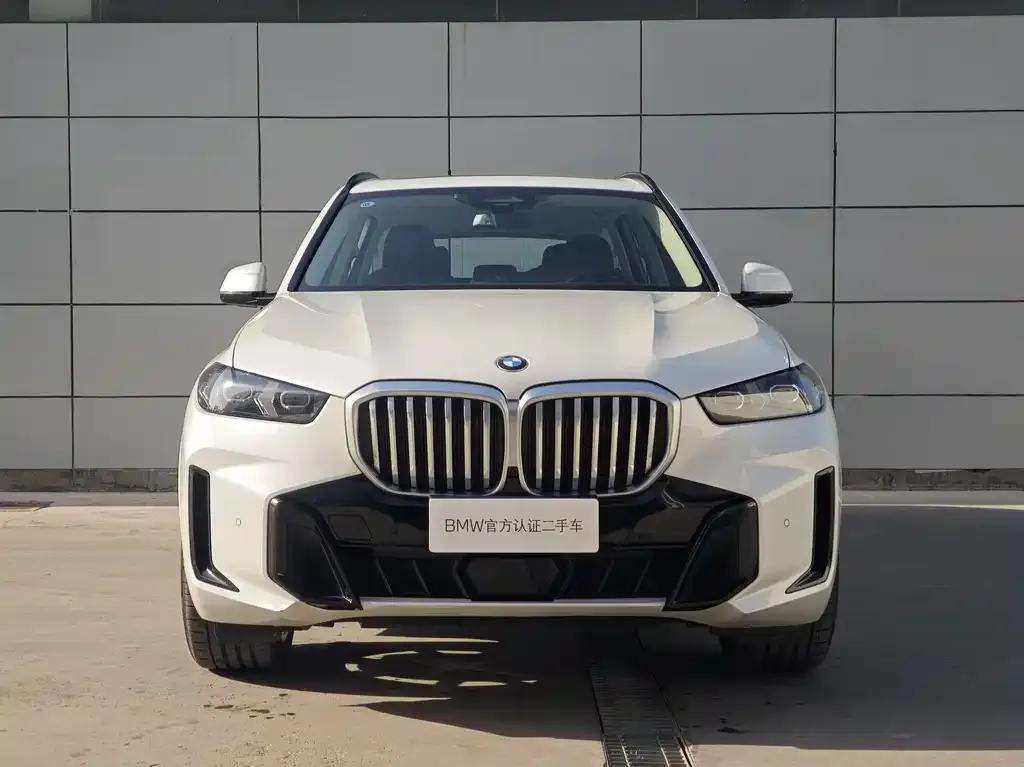 BMW X5 — фото 2