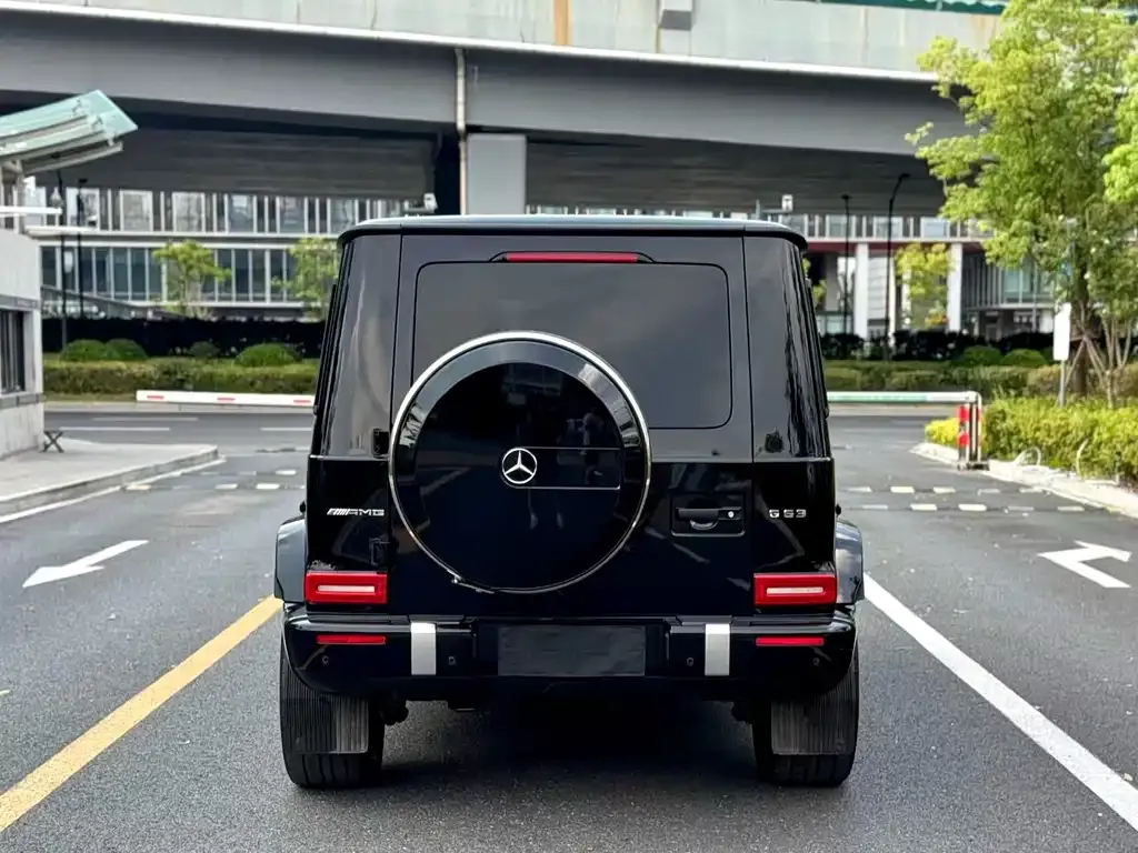 Mercedes-Benz G-Class AMG — фото 8