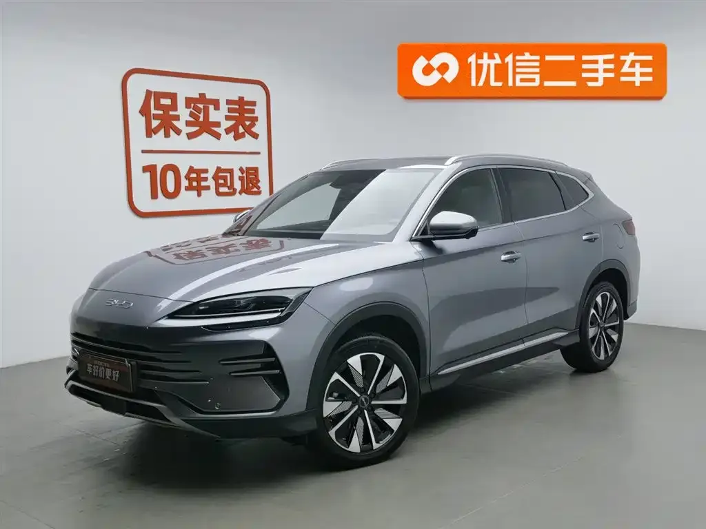 BYD PLUS New Energy — фото 1