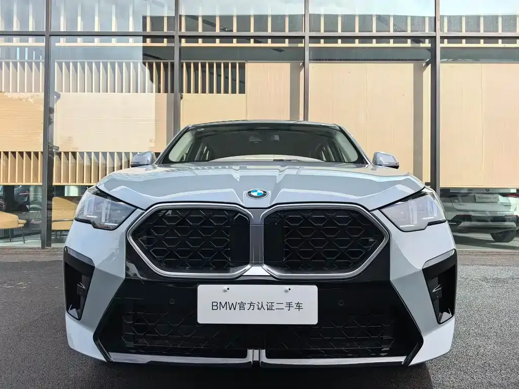 BMW X2 — фото 3