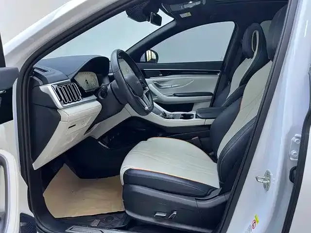 BYD PLUS New Energy — фото 4