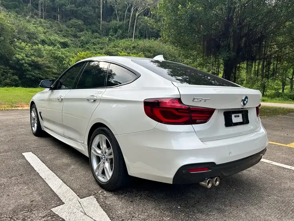 BMW 3 Series GT — фото 10