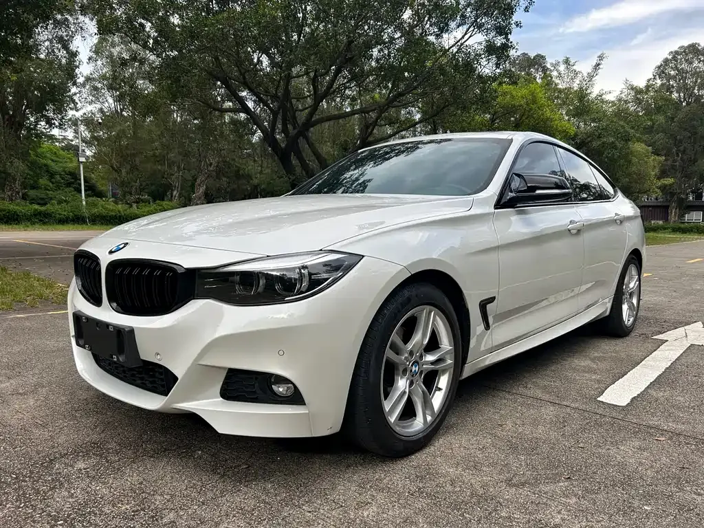 BMW 3 Series GT — фото 4