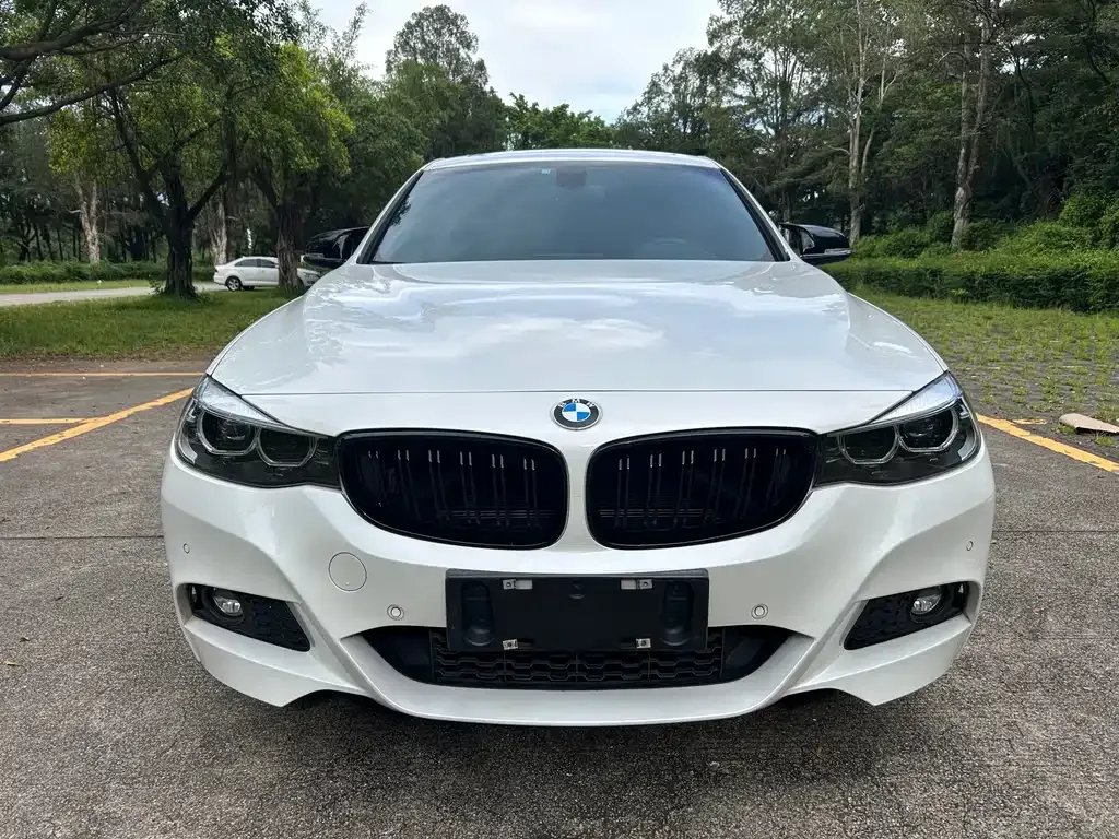 BMW 3 Series GT — фото 5