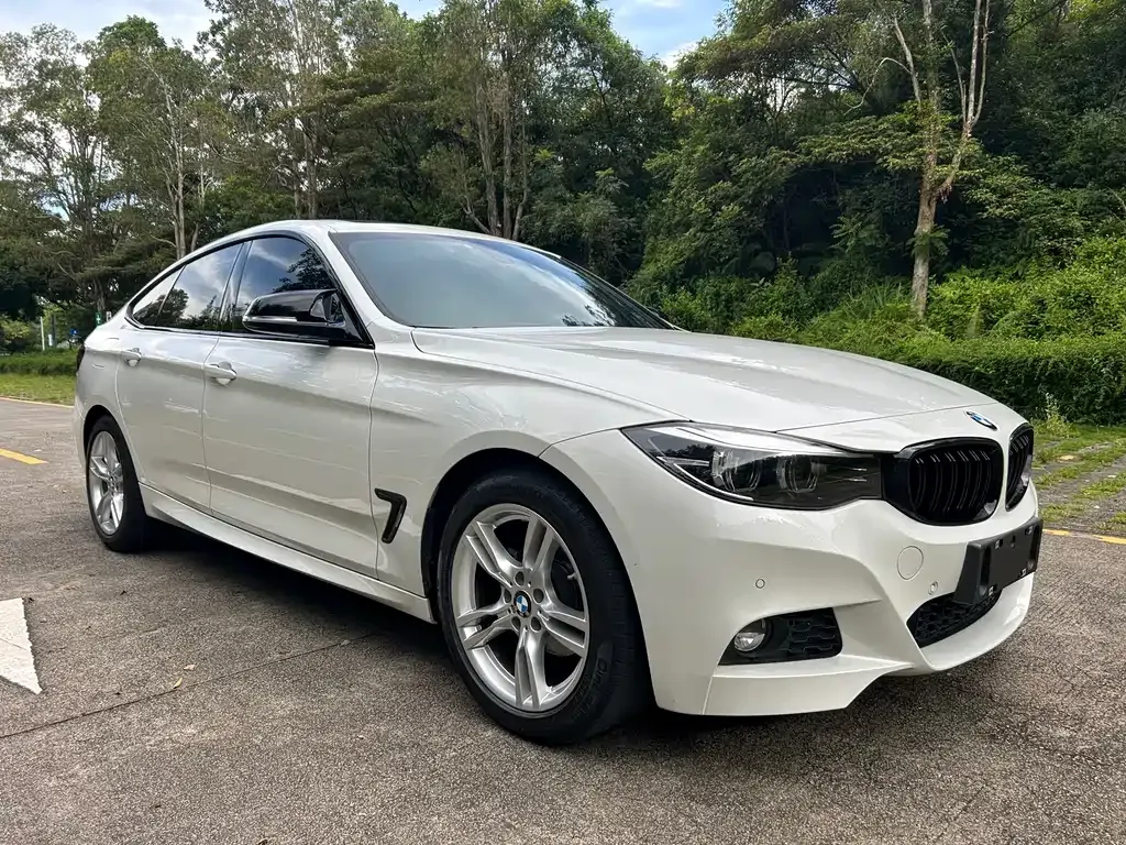 BMW 3 Series GT — фото 6