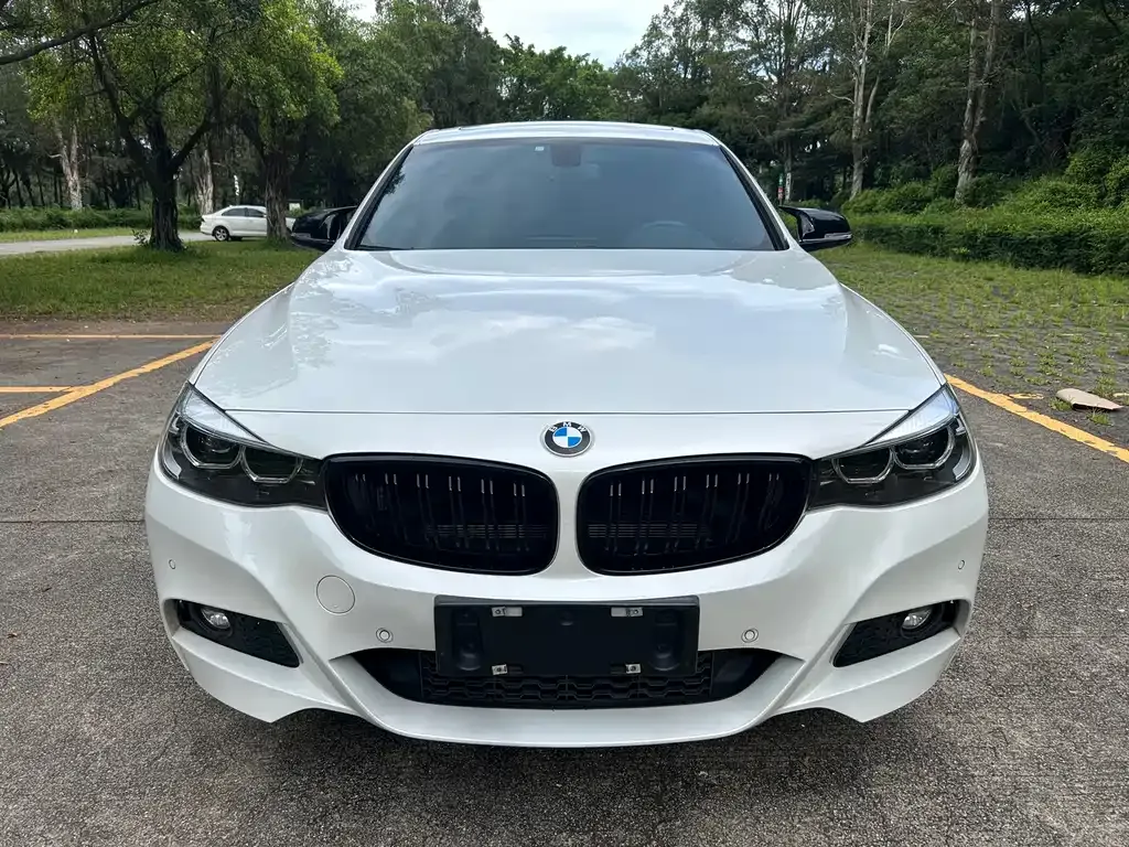 BMW 3 Series GT — фото 8
