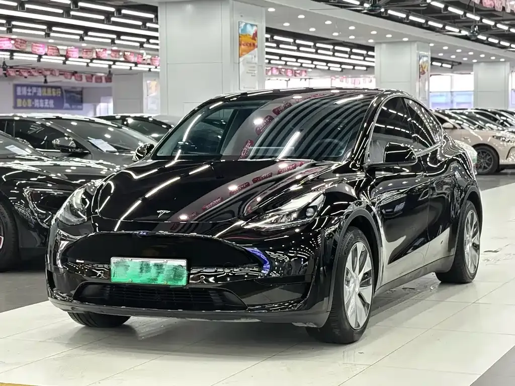 Tesla Model Y — фото 1