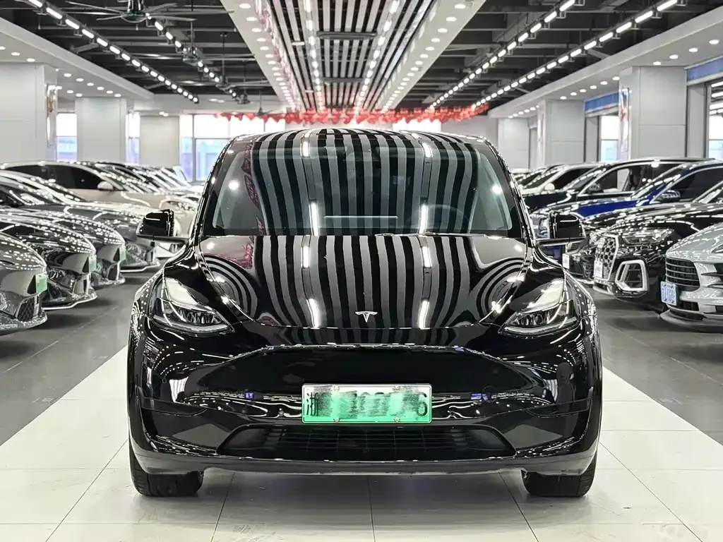 Tesla Model Y — фото 2