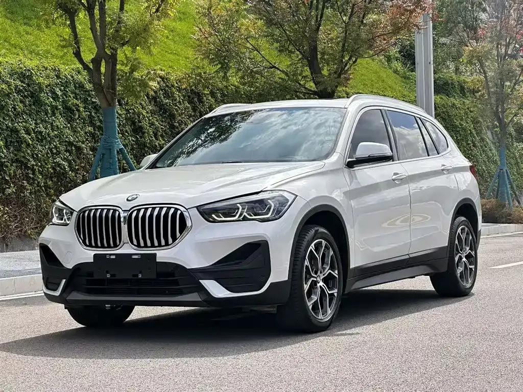 BMW X1 — фото 1