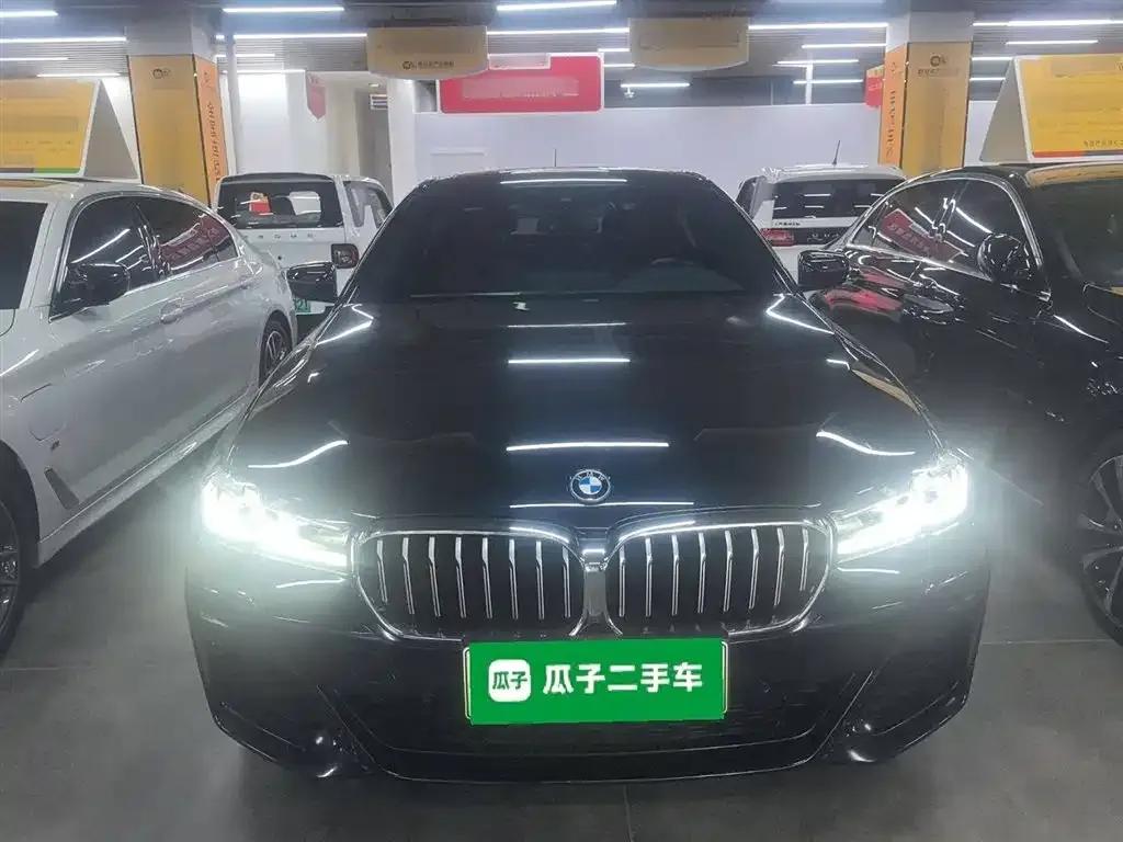 BMW 5 Series New Energy — фото 3